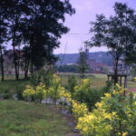 Petite-Rosselle (12)