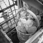 Petite-Rosselle (45)