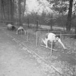 Puits2-L' Hopital (11)