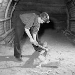 Siege Cuvelette (12)