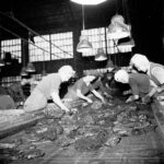 Siege Cuvelette (18)