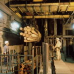 Siege Cuvelette (37)