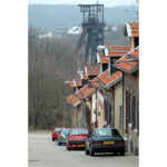 petite2drosselle_281029