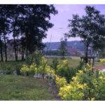 petite2drosselle_281229