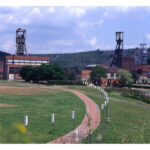 petite2drosselle_281329