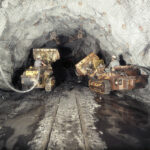 petite2drosselle_281529