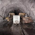 petite2drosselle_281629