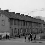 petite2drosselle_281729