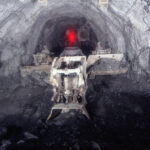 petite2drosselle_281929