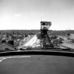 petite2drosselle_28229