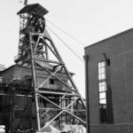 petite2drosselle_282329