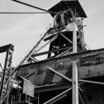 petite2drosselle_282429