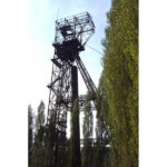 petite2drosselle_282629