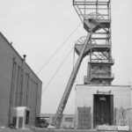 petite2drosselle_282729