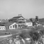 petite2drosselle_282829