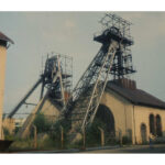 petite2drosselle_282929