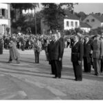 petite2drosselle_283229