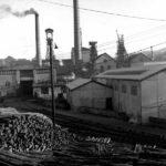 petite2drosselle_28329