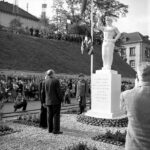 petite2drosselle_283429