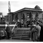 petite2drosselle_283729