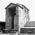 petite2drosselle_283929