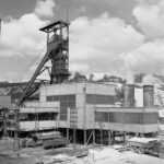 petite2drosselle_284029