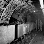 petite2drosselle_284129