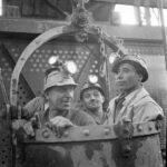 petite2drosselle_284229