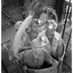 petite2drosselle_284329