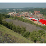 petite2drosselle_28629