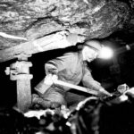 petite2drosselle_28829