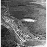 petite2drosselle_28929